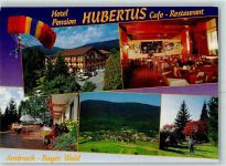 93471 W8498 Arnbruck - Hotel Hubertus Innenansicht Terrasse