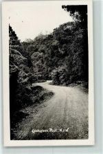 Foto AK Campewarra Pass AK