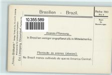 Rio de Janeiro - Ananas Plantage