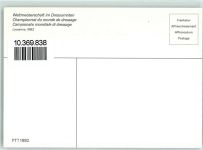 Lausanne Losanna Weltmeisterschaft im Dressurreiten 1982 + Sonderbriefmarke Dressur 1982