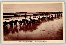 Saigon 1937 - Reisbauern