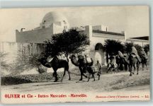 Tunis - Kamele Transport