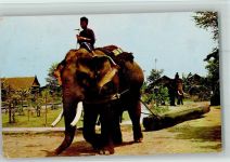 Thailand - Arbeitselefanten ziehen Baumstämme AK Eckknick Volkstypen Elefant