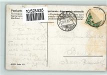 Serie 1071 Wildenten, Federwild - Jagd , gute Erhaltung Schönian, A. 1905