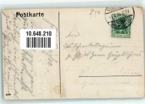 Elsenborn 1910 - Kühe