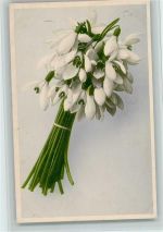 Nr. 516 - Blumen Rommel 1902