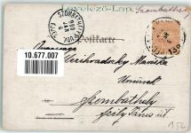 Frosch vermenschlicht schaut der Libelle zu Frosch 1900 Künstlerkarte