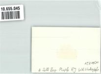 95100 W8672 Selb 1931 Privatfoto KEINE AK WK II Pimpfe HJ Ludwigstraße Ort handschriftlich