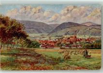 W8762 Amorbach Schafe sign. Hoffmann, Heinrich Hirte Künstlerkarte