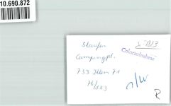 79219 W7813 Staufen , Breisgau FOTO KEINE AK Campingplatz Auto Oldtimer Ort handschriftlich