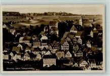 72213 W7272 Altensteig , Württ - Ortsansicht