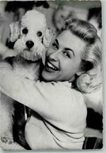 Bibi Johns Rock / Pop
