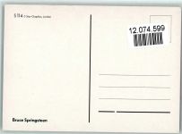 S 114 - Bruce Springsteen auf der Bühne Rock / Pop