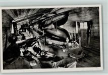 Riesenwalfisch - Alter 168 Jahre im Museum ca 1940 AK Wal