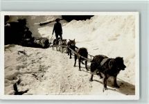 ca 1930 in Kanada - gute Erhaltung Hundeschlitten Foto AK