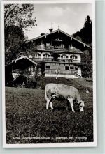 83703 W8184 Gmund a. Tegernsee - Kaffee Unterbuchberg Kuh