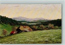 Schwarzwaldhäuser , Moos Serie VI Nr. 17 AK Nessel