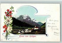 Splügen 1900 Pflanzen