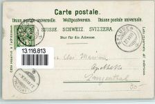 Splügen 1900 Pflanzen