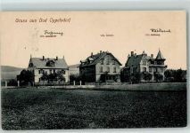 Bad Oppelsdorf Opolno Zdroj 1912 - Villa Waldesruh Villa Daheim Villa Hoffnung