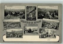 21200 Beaune 1913 - Weinlese