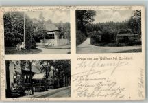 48465 W4443 Schüttorf 1912 - Waldruh Gartenanlage