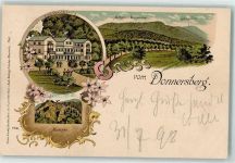 67814 W6765 Dannenfels , Pfalz 1898 Lithographie Donnersberg Villa Donnersberg Moltkefels Ludwigsturm