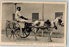 Esel Eselkarre Eingeborener Barbados