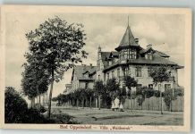 Bad Oppelsdorf Opolno Zdroj 1927 Foto AK Pension Villa Wadlesruh