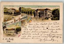 Bad Oppelsdorf Opolno Zdroj 1900 Lithographie Hotel Bad Oppelsdorf Villa Schröter Albertbad Bahnpost -Reichenau Zg. 2606