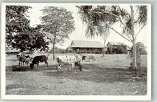 Foto AK Mission Station Yabim