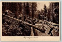 Beruf Beru Holzschläger bei der Arbeit Verlag Elchlepp Forstwirtschaft