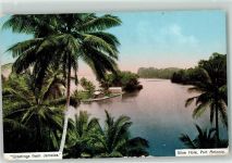 Port Antonio - Blue Hole Grettings Palmen