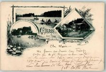 87740 W8941 Buxheim b Memmingen 1907 - Weiher Ruderboote Schwäne Seerosen