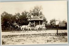 W8398 Anzing Kutsche Hindernisreiten Privatfoto AK