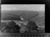 35104 W3540 Dalwigksthal , Waldeck GLASNEGATIV Haus Thalblick