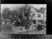 57567 W5244 Daaden GLASNEGATIV Gasthof Scheel