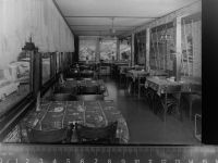 34513 W3544 Waldeck , Hess GLASNEGATIV Gasthaus