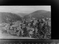38685 W3394 Lautenthal GLASNEGATIV