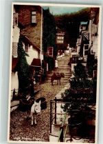 Clovelly Foto AK Esel Gasse High Street