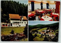 72275 W7297 Reinerzau - Gasthaus zum rauhen Felsen