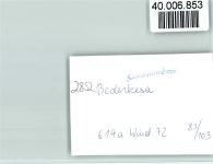 27624 W2852 Bederkesa FOTO KEINE AK