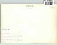 59514 W4777 Welver FOTO KEINE AK