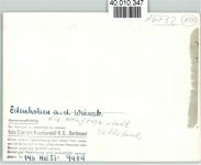W6732 Edenkoben Volksbank Bank FOTO KEINE AK