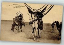 Aleppo Foto AK Meskene Maskanah Tracht Kamele Transport de Femmes