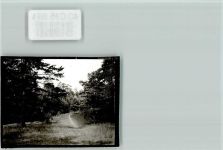 33189 W4797 Oesterholz-Haustenbeck FOTO KEINE AK Heidehof Wald