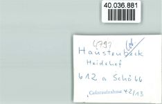33189 W4797 Oesterholz-Haustenbeck FOTO KEINE AK Heidehof Wald