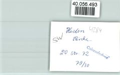 46359 W4284 Heiden , Kr Borken, Westf FOTO KEINE AK Kirche