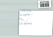 32361 W4994 Preußisch Oldendorf FOTO KEINE AK Holzklettergerüst