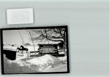 87547 W8979 Aigis , Allgäu FOTO KEINE AK Pferde im Schnee